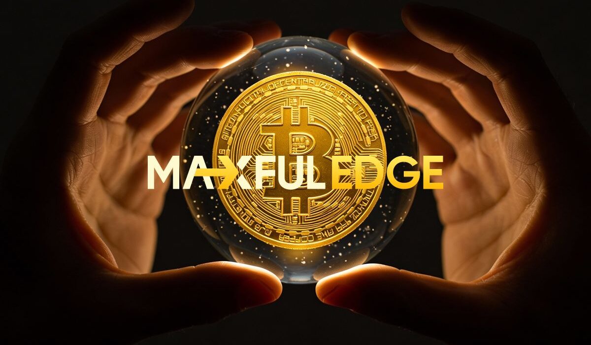 MaxfulEdge: Its Service Improvements as the Platform Foundation