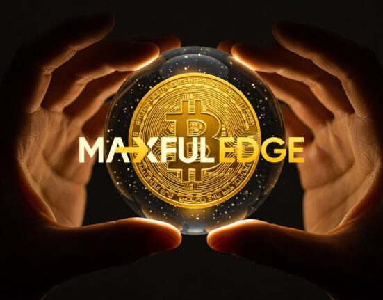 MaxfulEdge: Its Service Improvements as the Platform Foundation