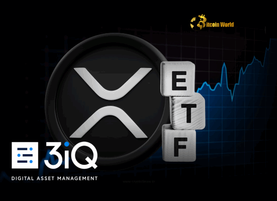 XRP ETF Launches on TSX: 3iQ Offers Incredible Zero Fee Deal