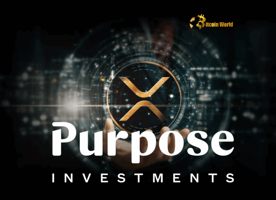 XRP ETF Opportunity: Purpose Investments Offers Exclusive Management Fee Waiver