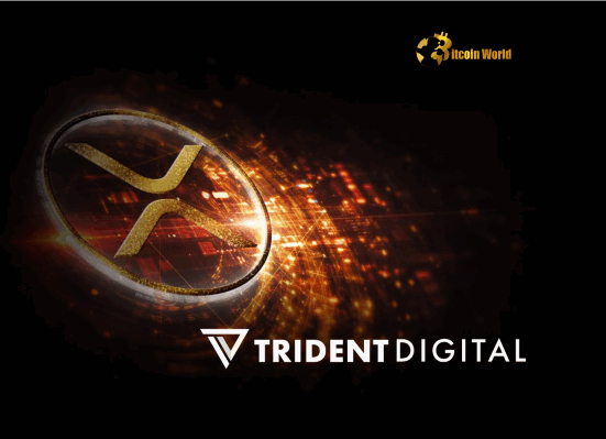 XRP Treasury: Trident Digital Plans Massive $500M Raise for Pioneering Ripple Ecosystem Investment