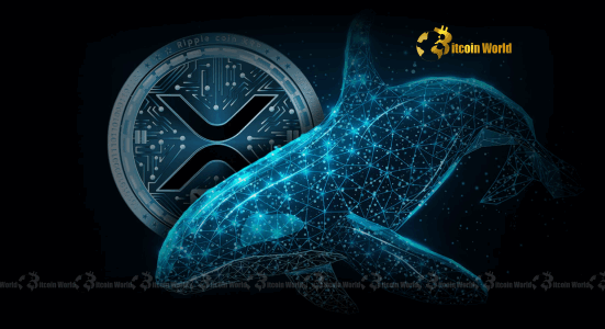 XRP Whales Fuel Massive Confidence Surge as Balances Rise