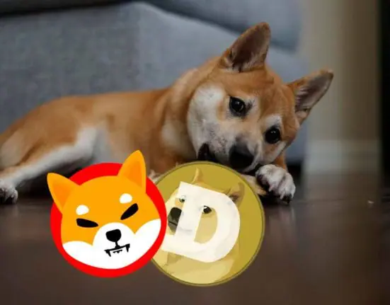 Not Just a Meme—XYZ Coin Could Set the Standard Beyond Shiba and Dogecoin!