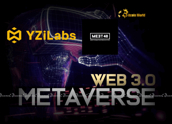 YZi Labs Fuels Breakthrough Web3 Metaverse Project MEET48