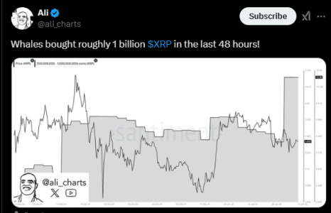 Whales Purchase $1 Billion Worth of XRP in Just 48 Hours