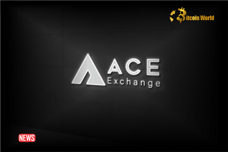 Founder Of ACE Crypto Exchange Arrested For Alleged Fraud