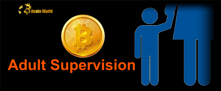 Crypto needs ‘Adult Supervision’ and Turmoil to ‘grow up’ — MicroStrategy co-founder