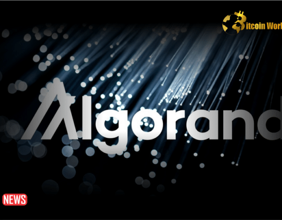 BEWARE: The X Account Of Algorand Foundation CEO Has Been Hacked