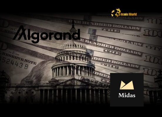 Algorand DeFi Welcomes Tokenized U.S. Treasury Bills Midas Launches mTBILL