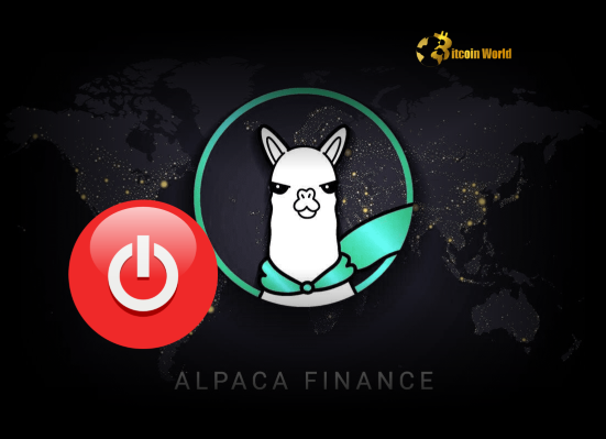 Alpaca Finance Shutdown: Urgent Update on DeFi Platform's Future