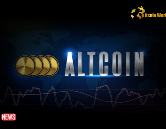 According to Experts, These Are the Top Altcoins for 2024