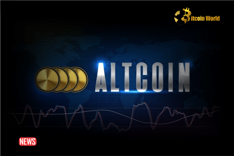 According to Experts, These Are the Top Altcoins for 2024