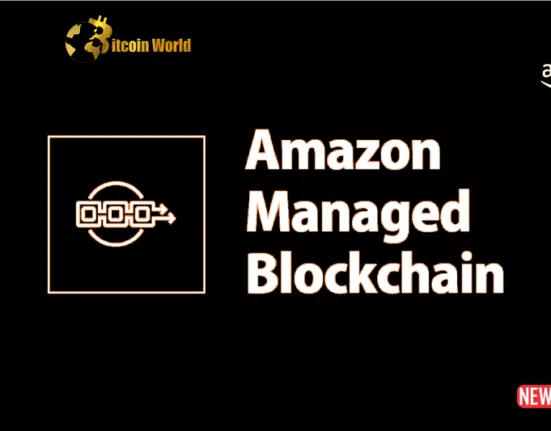 Amazon Managed Blockchain (AMB) Unleashes Enhanced Access and Query for Web3 Builders