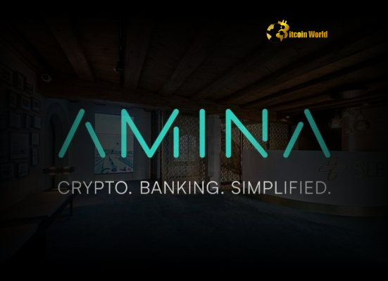 AMINA Bank Reports Astonishing 69% Revenue Growth in Record Year