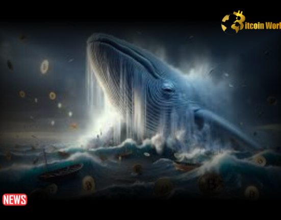 Ancient Bitcoin Whale Abruptly Awakens, Relocates 1000 BTC After Nearly 12 Years of Dormancy