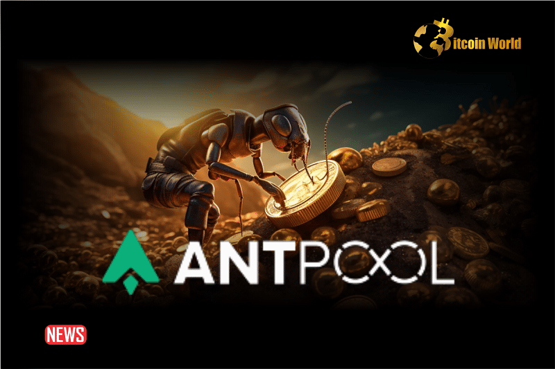 AntPool to Refund The 83.6 BTC Mistakenly Paid As Bitcoin Transaction Fee