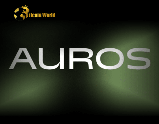 Crypto Trading Firm Auros Secures $17M Investment as It Recovers From FTX Woes