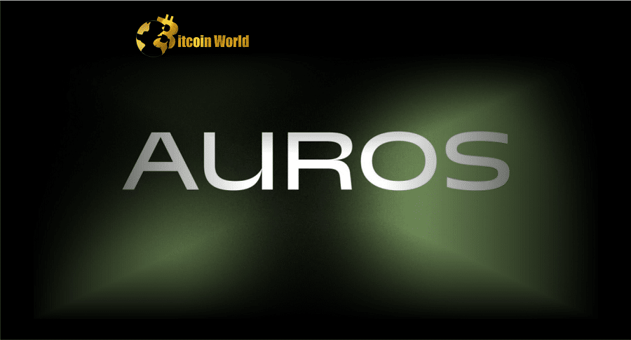 Crypto Trading Firm Auros Secures $17M Investment as It Recovers From FTX Woes