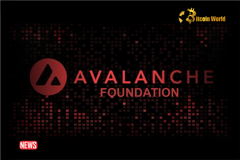 Avalanche Foundation Announces Criteria For Meme Coins Selection For Its $100 million Culture Catalyst Program