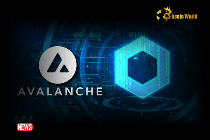 Avalanche (AVAX) Has Announced A Partnership With Chainlink And ANZ