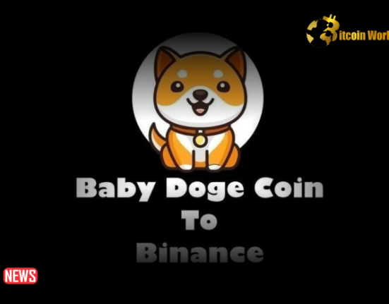 Should Baby Doge Get Listed On Binance?