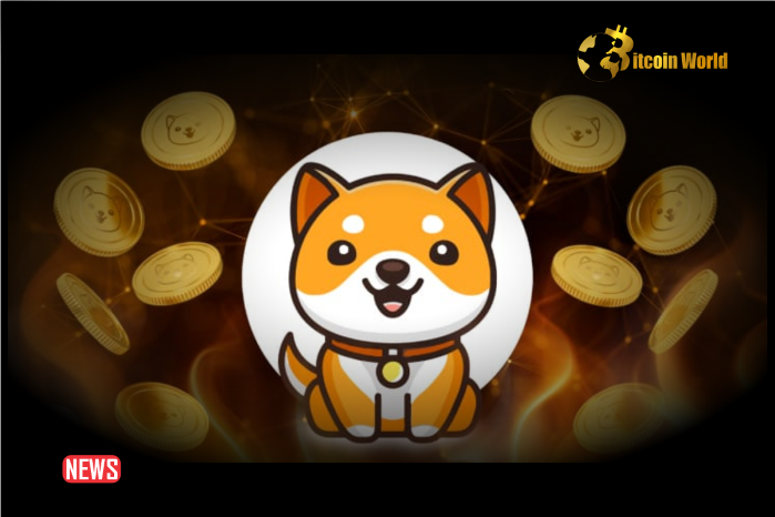Baby Doge To Launch On Solana, Establish Bridges To ETH and BNB