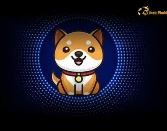 Baby Doge Coin Price: Current Value, Market Trends, and Future Insights