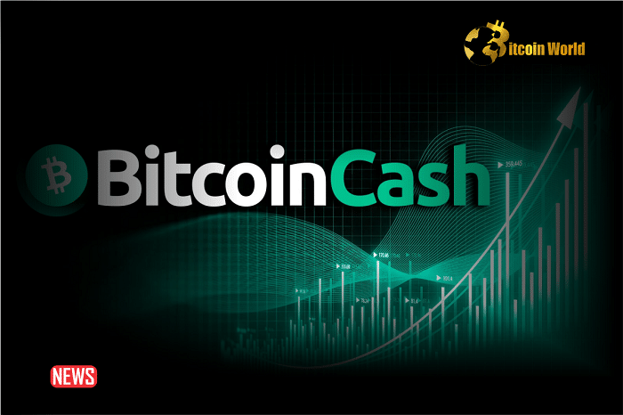 Price Analysis: Bitcoin Cash (BCH) Price Increased More Than 4% Within 24 Hours