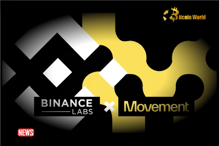 Cryptocurrency Exchange Binance Announced Its Latest Investment In Movement Labs