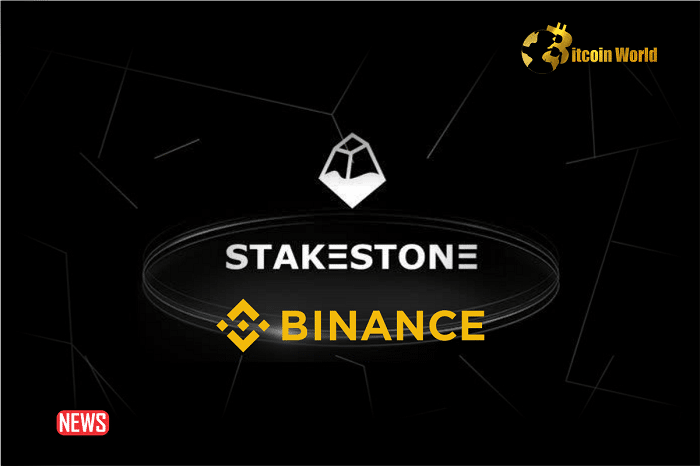 Binance Labs Announced Its Investment In StakeStone