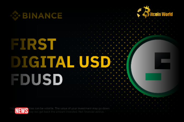 Binance Added Many FDUSD Trading Pairs To Margin Transactions