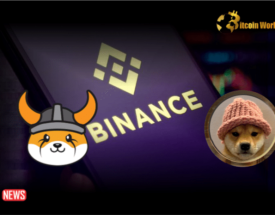 Binance Enables FLOKI, WIF Trading Bots Along With New Pairs