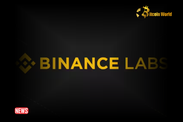 Binance Labs Invests in Modular Layer-1 Blockchain Project Particle Network
