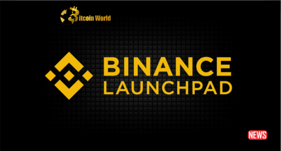 kick token binance