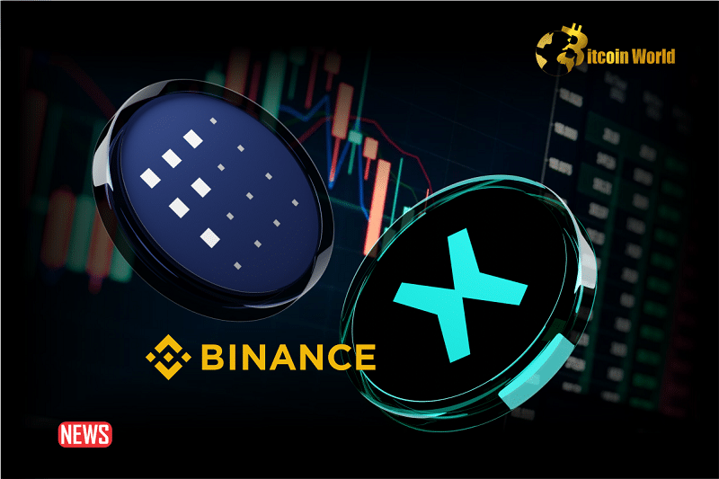 Binance Announces Support for FET and MultiversX Network Upgrades