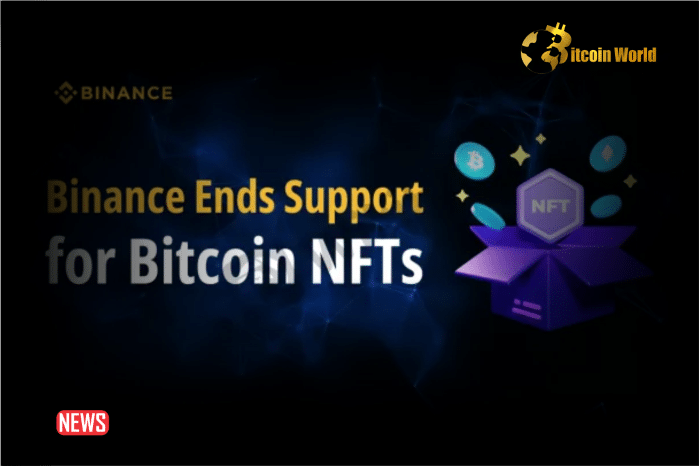 Binance Removes Bitcoin NFTs From Its Platform To Focus On Other Products
