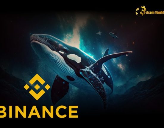 Binance Attracts Increased Whale Activity as BTC Inflow Rises