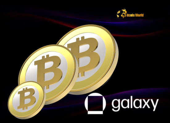 Bitcoin Alert Galaxy Digital Deposits Significant BTC to Binance