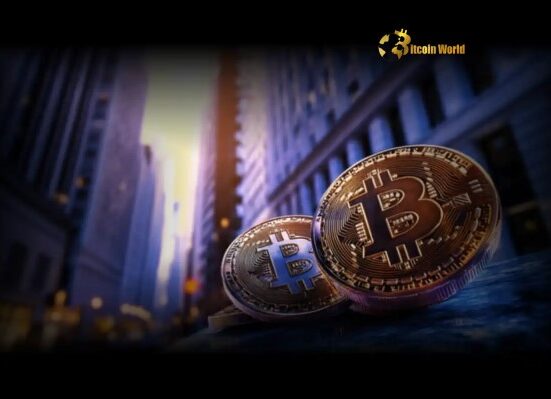 Bitcoin Allocation: Unlock Superior Returns in Your Traditional Portfolio, Says Bitwise CIO