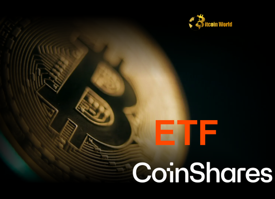 Bitcoin ETF Holdings Plunge What CoinShares Report Reveals