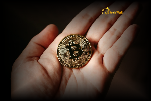 Bitcoin Holders Reveal Crucial Shift: 23,000 BTC Sold Post All-Time High