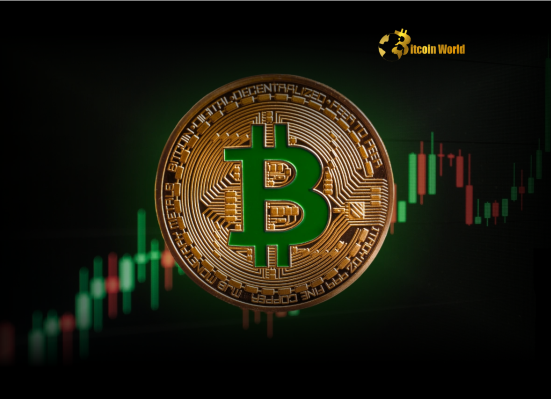 Bitcoin Long-Term Holders Signal Unwavering Confidence as Supply Hits Record Peak