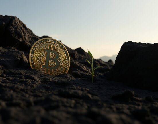 Bitcoin coin emerging from rocky ground with a green shoot, representing a market bottom signal.