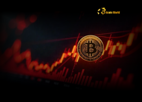 Bitcoin Plunge BTC Falls Below $107,000 Amid Market Volatility