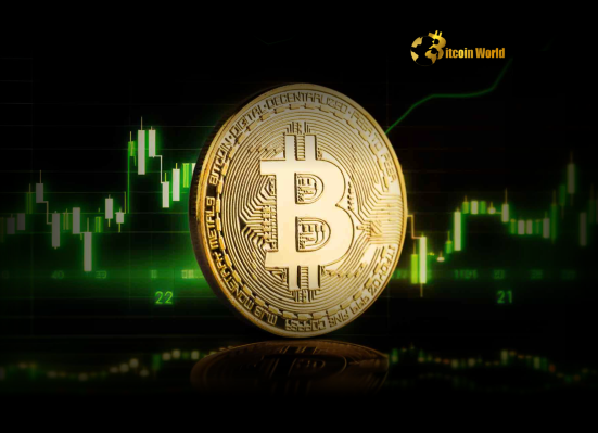 Bitcoin Price Alert: BTC Falls Below Crucial $104,000 Level