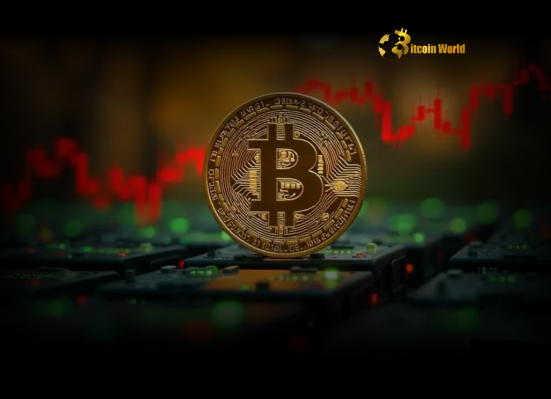 Bitcoin Price Crucial Support Levels Emerge Amid Consolidation