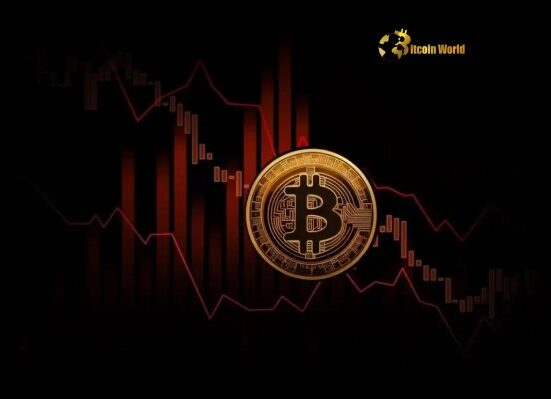 Bitcoin Price Plunges Below $105,000: Urgent Crypto Market Update