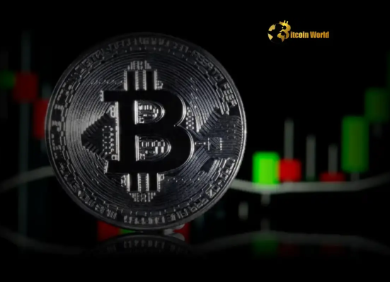 Bitcoin Price Prediction Willy Woo Issues Critical Bearish Divergence Warning