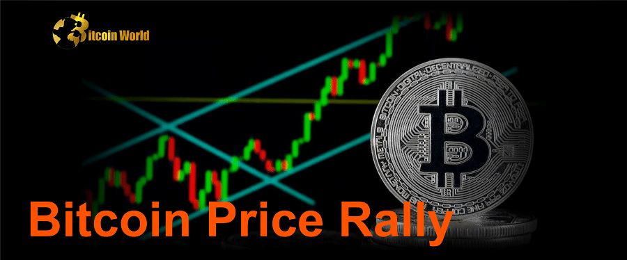 Bitcoin Price Rally Provides Much Needed Relief for BTC Miners