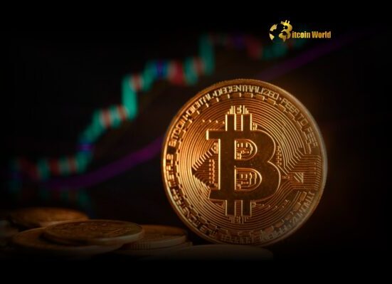 Bitcoin Price Soars to New Peak: Is the Crypto Market Overheating?